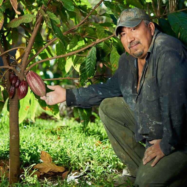 farmer man with cacao red pod on green garden
